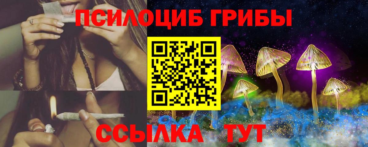 Псилоцибиновые грибы прущие грибы  Вход с VPN  Галлюциногенные грибы прущие грибы  Арсеньев 